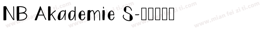 NB Akademie S字体转换